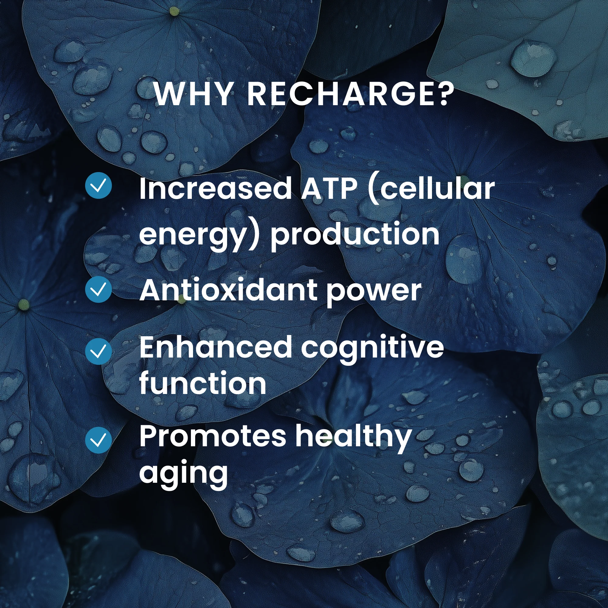 rtl Revive Series: RECHARGE - Image 2